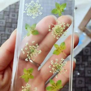 干花手机壳