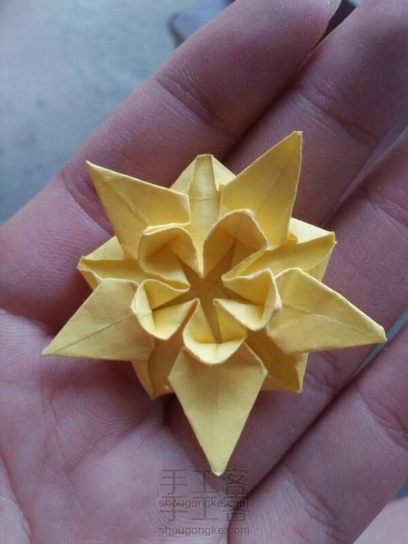 樱花星(一)