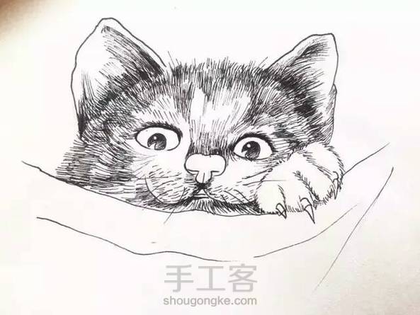 小猫咪(一)
