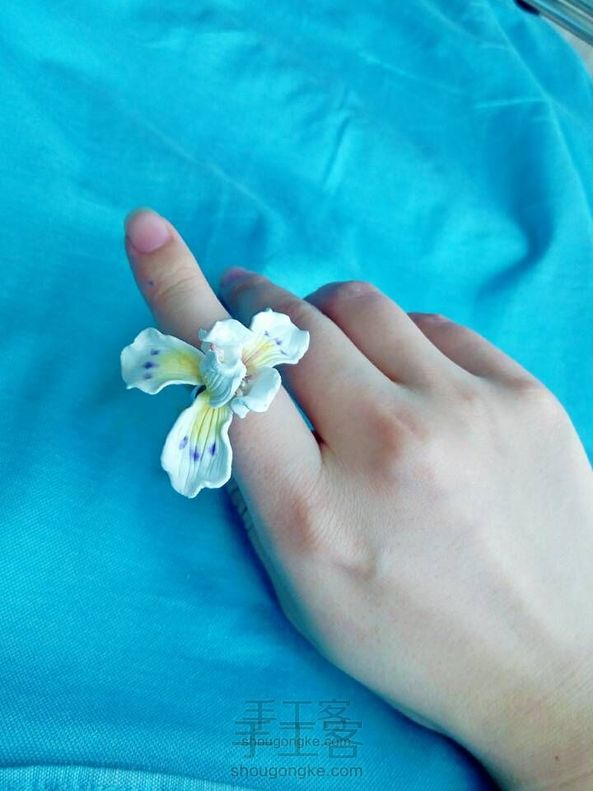 他们说,鸢尾的花语是“绝望的爱”