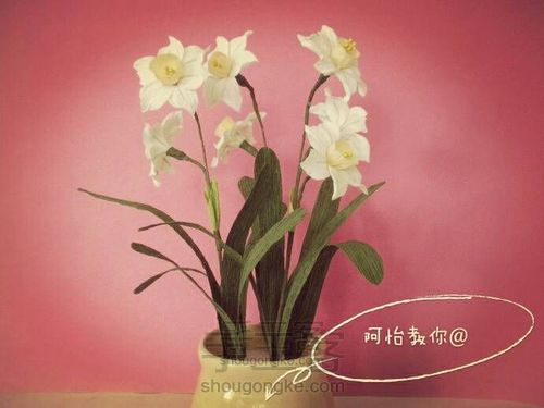 水仙花 第1步