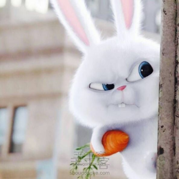 《爱宠大机密》之反差萌小白兔snowball