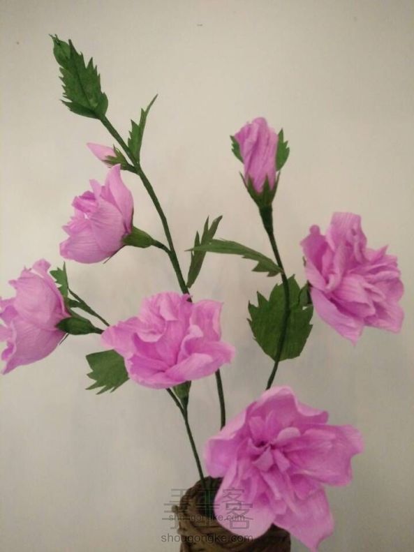 【可爱女Kapa纸艺花】木槿花，韩国国花
