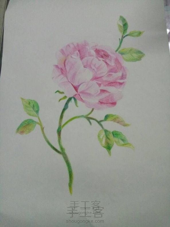 画一朵花花🌸~