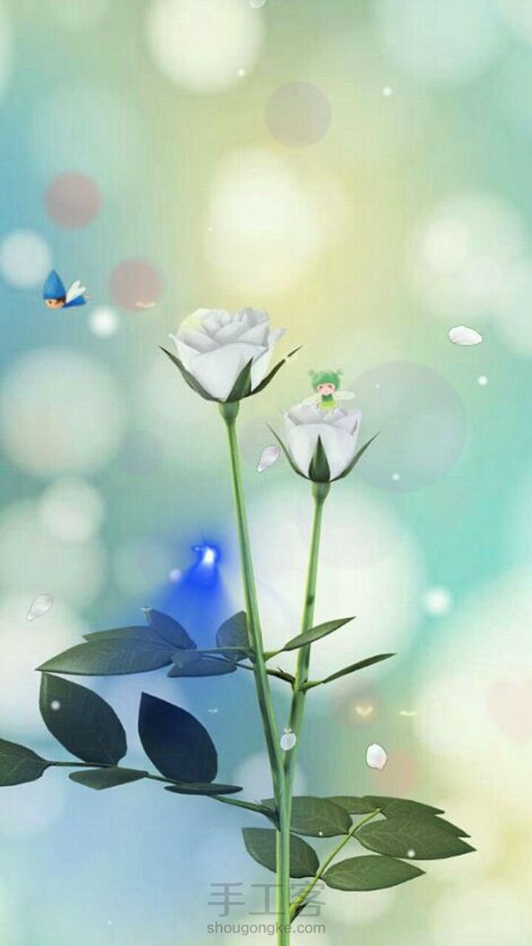 🌸🌸🐬🐬