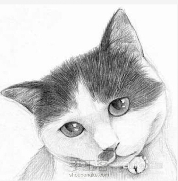 【可爱猫咪素描画】