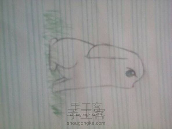 仰头的萌兔