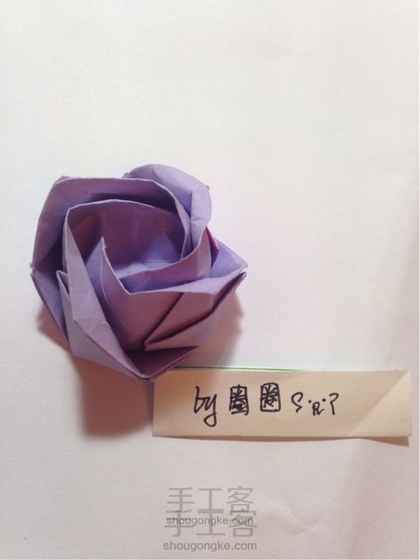 炒鸡炒鸡详细的川崎玫瑰!