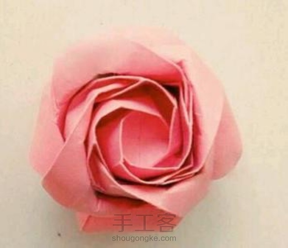 美美的12瓣玫瑰