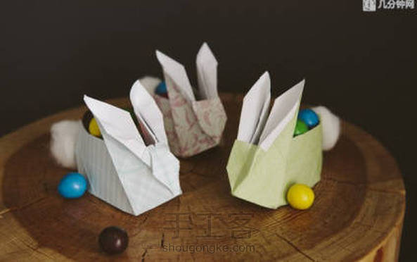 兔纸(转自微博)