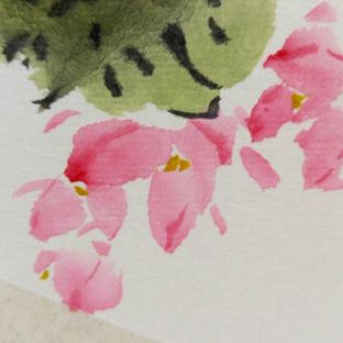 国画四季海棠的一种画法