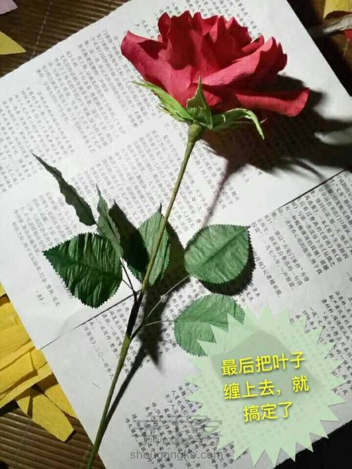 大花月季（做玫瑰瞎做出来的成品） 第25步