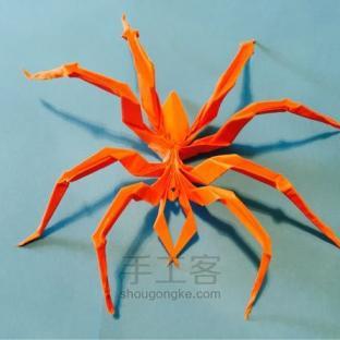 蜘蛛折纸制作教程
