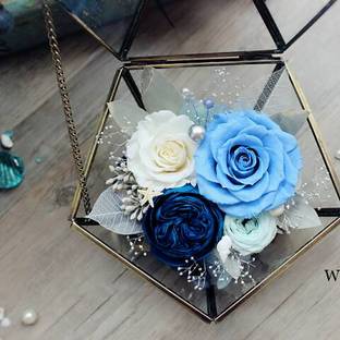 永生花海洋系珍宝盒