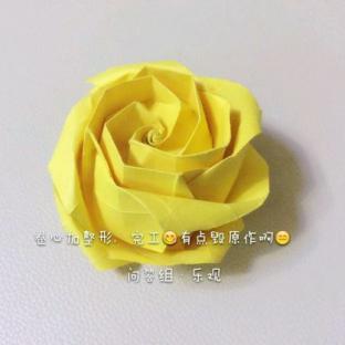 【实拍】卷心川崎玫瑰