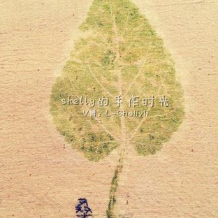 树叶拓染——Shellyli草木染系列