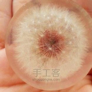 草之木水丨蒲公英标本滴胶饰品制作 