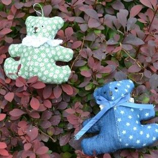 呆萌熊一家丨熊宝宝的诞生