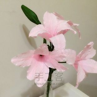 纸藤花系列丨百合花