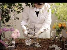 花田小憩丨花博士的植物实验室