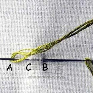 刺绣基础针法集锦11|劈针绣 Split Stitch