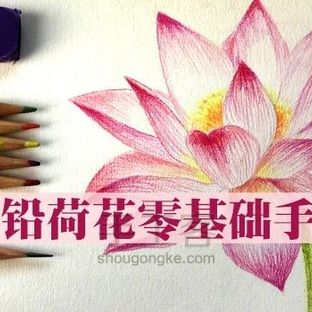 “彩铅荷花”零基础入门教程