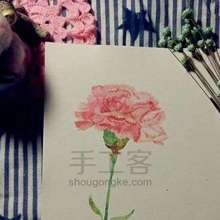 给妈妈的爱｜手绘康乃馨