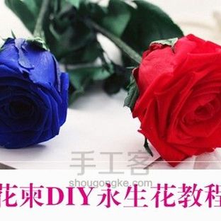 花柬永生花DIY制作教程