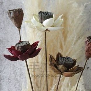 组合干花丨禅意莲花之带莲蓬木莲花的制作