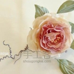 六月星妍手工造花丨八重の小蔷薇 晨光 