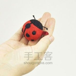 羊毛毡入门丨萌小呆教你戳只小瓢虫