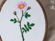 植物标本艺术墙之野玫瑰针法视频教程