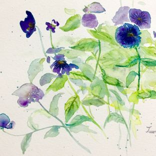 蝴蝶花水彩过程