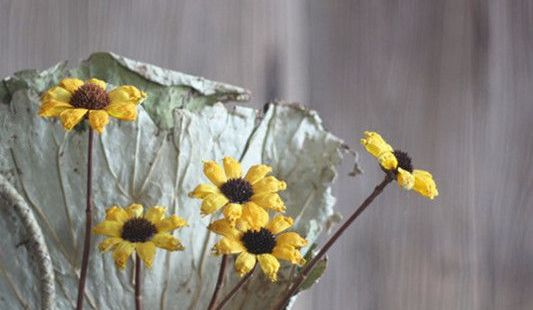 组合艺术干花——小皱菊的制作