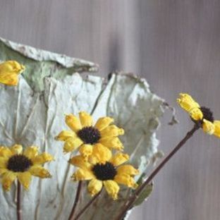 组合艺术干花——小皱菊的制作