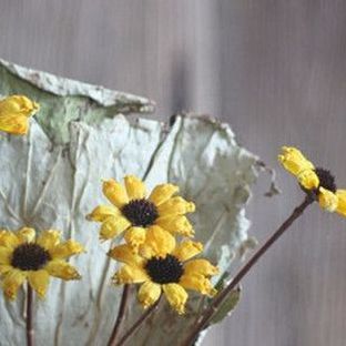 组合艺术干花——小皱菊的制作