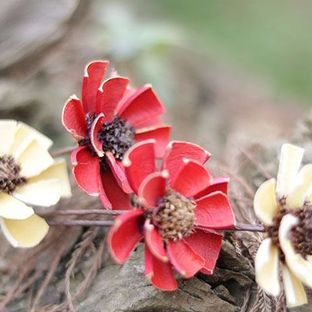 组合艺术干花——梧桐花的制作