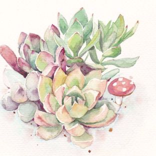 嫩嫩的植物手绘丨水彩多肉