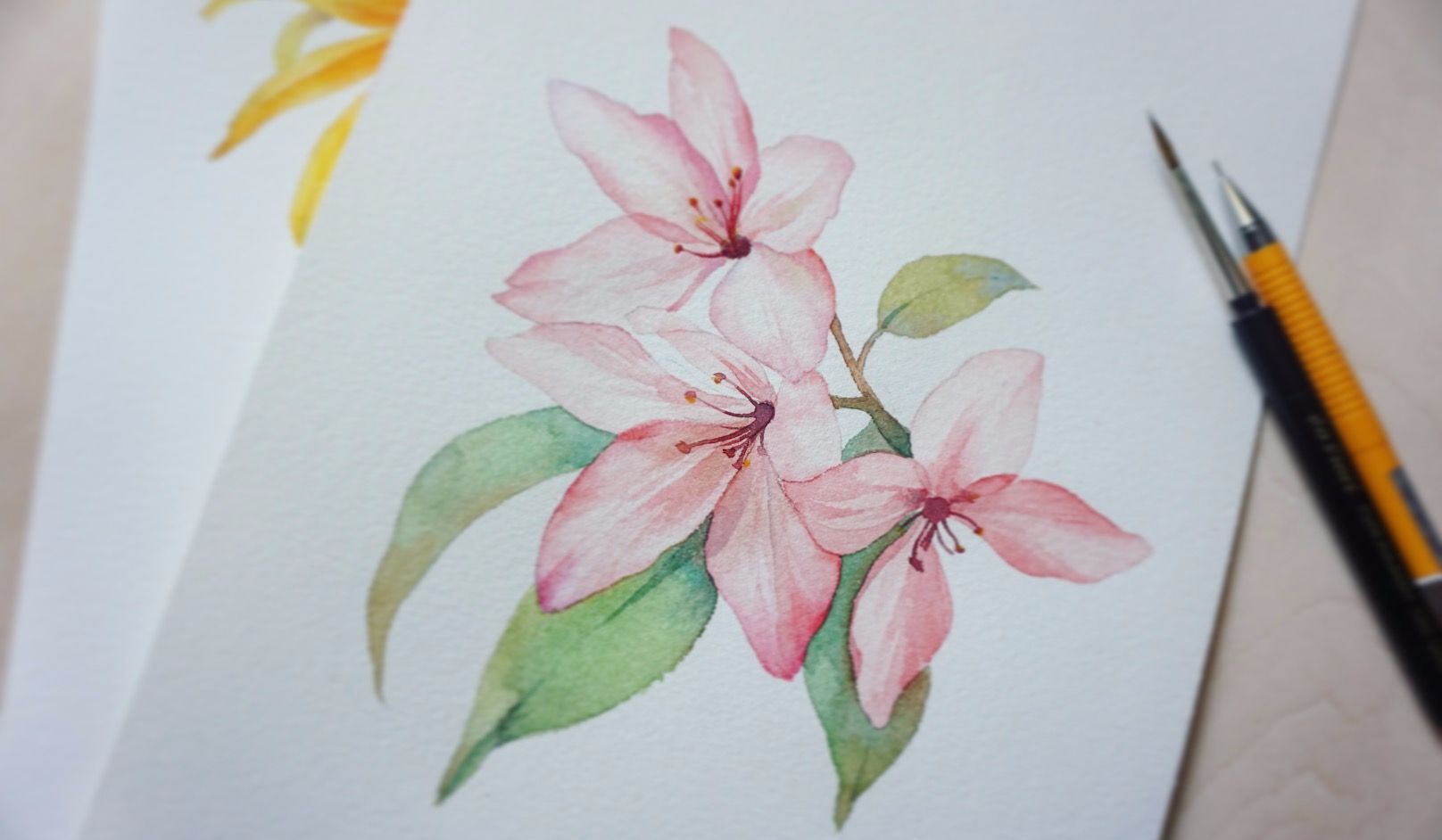 77水彩课程丨粉色的小花