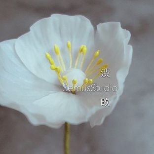 粘土造花集之虞美人教程