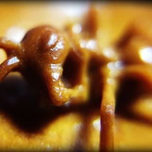 徐木头=核雕建议经验分享