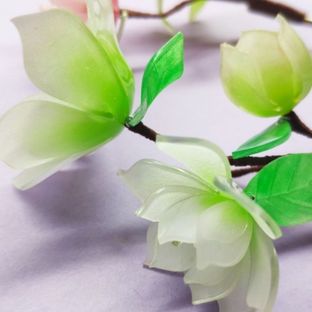 【你与繁花】立体热缩之玉兰花『晨曦』