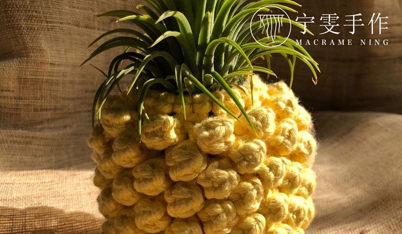 绳编菠萝-