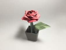 教你折漂亮的佐藤玫瑰，过程原来如此简单！学会了给她一个小惊喜