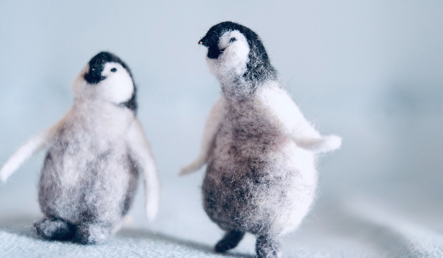 羊毛毡小企鹅DIY写实风格憨萌羊毛毡动物博物馆