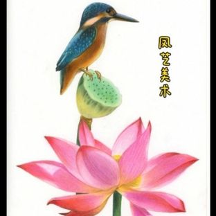 彩铅粉彩画 | 荷花翠鸟