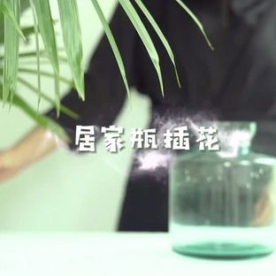  花艺课堂 | 零基础——学会高级感居家瓶插花（纯干货）
