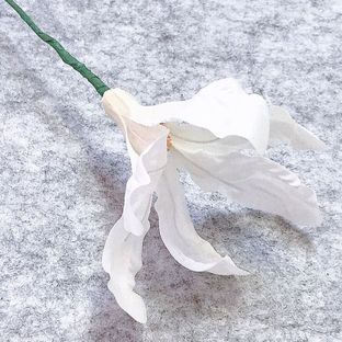 真丝造花——白玉兰1