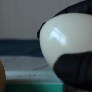 制作  鸡蛋镜子！