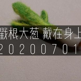 羊毛毡大葱徽章